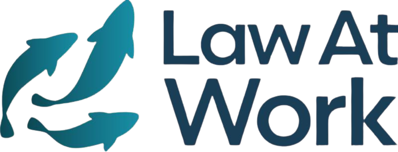 WhatsApp_Image_2026-02-22_at_02.41.48-removebg-preview